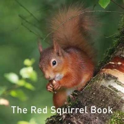 Nature Book Series: The Red Squirrel Book - Jane Russ - cover