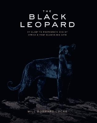 The Black Leopard: My Quest to Photograph One of Africa's Most Elusive Big Cats - Will Burrard-Lucas - cover