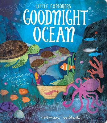 Goodnight Ocean - Becky Davies - cover