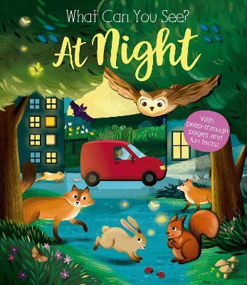 What Can You See At Night? - Kate Ware - cover