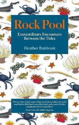 Rock Pool: Extraordinary Encounters Between the Tides - Heather Buttivant - cover