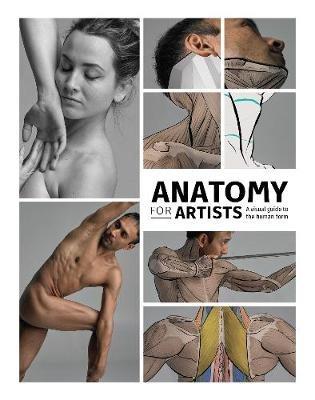 Anatomy for Artists: A visual guide to the human form - cover