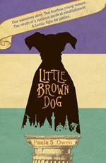 Little Brown Dog
