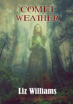 Comet Weather - Liz Williams - cover