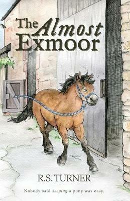 The Almost Exmoor - R. S. Turner - cover