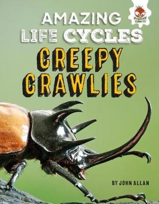 Amazing Life Cycles-Minibeasts - John Allan - cover