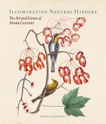 Illuminating Natural History: The Art and Science of Mark Catesby - Henrietta McBurney - cover