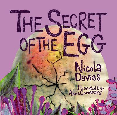 The Secret of the Egg - Nicola Davies - cover