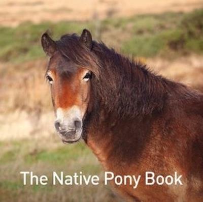 The Native Pony Book - Jane Russ - cover