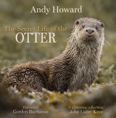 The Secret Life of the Otter - Andy Howard - cover
