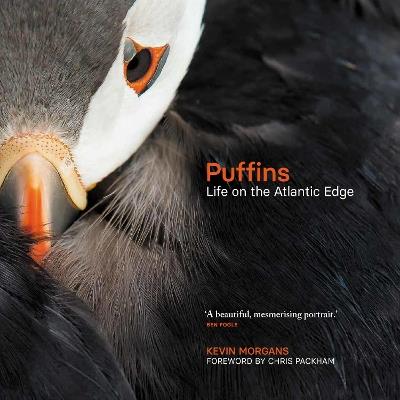 Puffins: Life on the Atlantic Edge - Kevin Morgans - cover