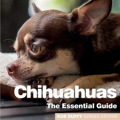 Chichuahuas: The Essential Guide - cover
