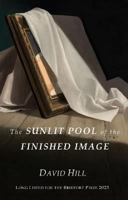 The Sunlit Pool of the Finished Image - David Hill - cover