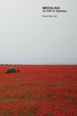 MEDDLING: An OAP in Tajikistan - Stuart Burchell - cover