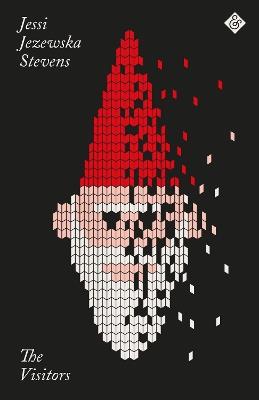 The Visitors (Paperback Edition) - Jessi Jezewska Stevens - cover