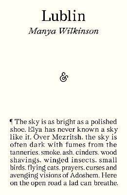 Lublin - Manya Wilkinson - cover