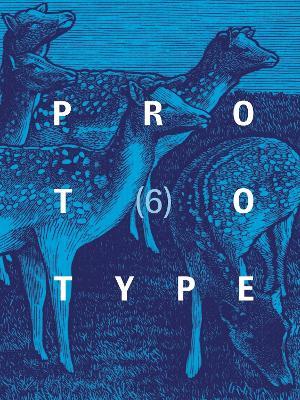 PROTOTYPE 6 - cover