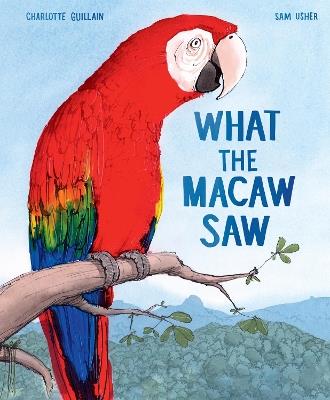 What the Macaw Saw - Charlotte Guillain - cover