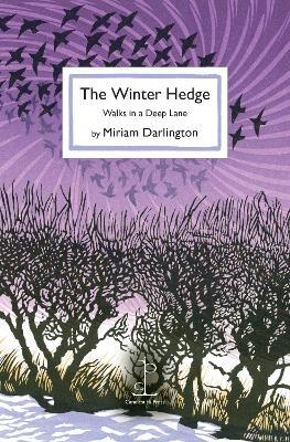 The Winter Hedge: Walks in a Deep Lane - Miriam Darlington - cover
