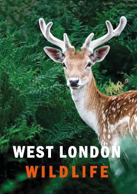 West London Wildlife - Ian Alexander,Susanne Masters - cover