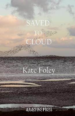 Saved to Cloud - Kate Foley - cover