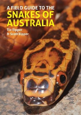 A Field Guide to the Snakes of Australia - Tie Eipper,Scott Eipper - cover