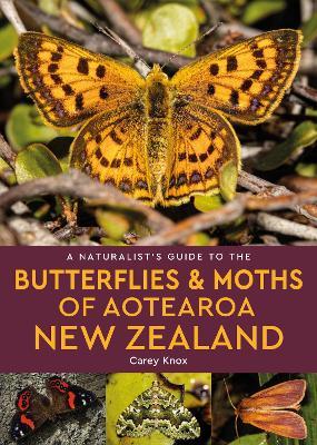 A Naturalist's Guide to the Butterflies & Moths of Aotearoa New Zealand - Carey Knox - cover