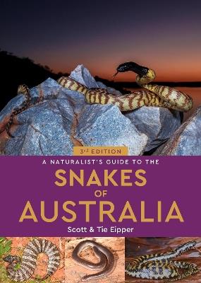 A Naturalist's Guide to the Snakes of Australia - Scott Eipper,Tie Eipper - cover