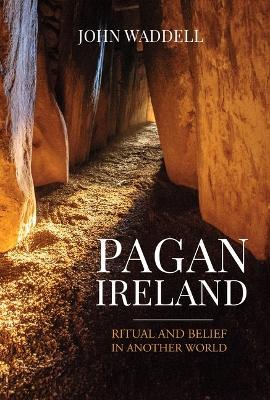 Pagan Ireland: Ritual and Belief in Another World - John Waddell - cover
