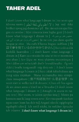 I don't know what language I dream in - Taher Adel - cover