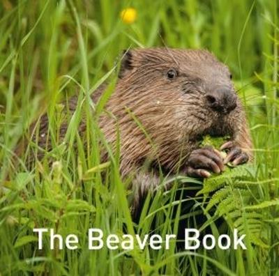 Beaver Book, The - Hugh Warwick - cover
