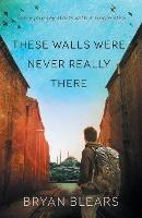 These Walls Were Never Really There - Bryan Blears - cover