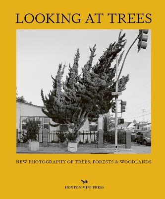 Looking At Trees: New Photography of Trees, Forests & Woodlands - Sophie Howarth - cover