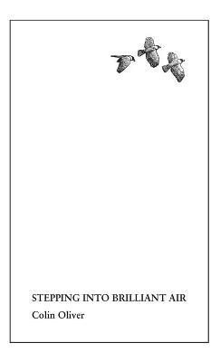 Stepping Into Brilliant Air - Colin Oliver - cover