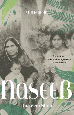 Naseeb - Naseem Shah - cover