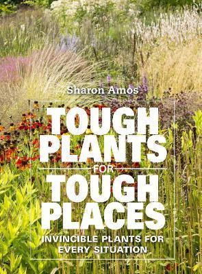 Tough Plants for Tough Places: Invincible Plants for Every Situation - Sharon Amos - cover