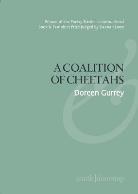 A Coalition of Cheetahs - Doreen Gurrey - cover
