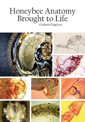 Honeybee Anatomy Brought to Life - Graham Kingham - cover
