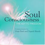 Soul Consciousness