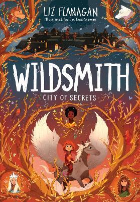 City of Secrets: The Wildsmith #2 - Liz Flanagan - cover