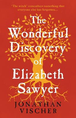 The Wonderful Discovery of Elizabeth Sawyer - Jonathan Vischer - cover