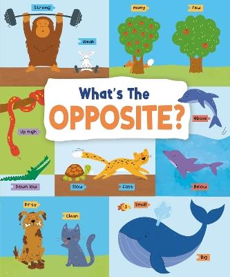What's the Opposite?: Big and Small, High and Low and Many More... - John Allan - cover