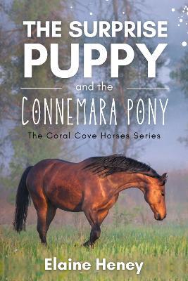 The Surprise Puppy and the Connemara Pony - The Coral Cove Horses Series - Elaine Heney - cover