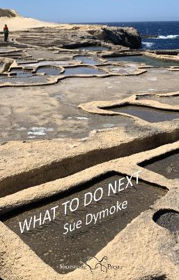 What To Do Next - Sue Dymoke - cover