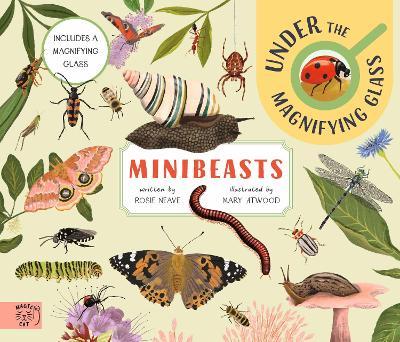 Minibeasts: Under the Magnifying Glass - Rosie Neave - cover
