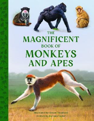 The Magnificent Book of Monkeys and Apes - Barbara Taylor - cover