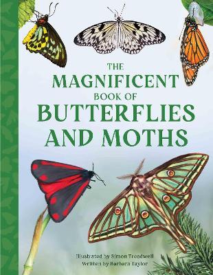 The Magnificent Book of Butterflies and Moths - Barbara Taylor - cover
