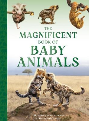 The Magnificent Book of Baby Animals - Barbara Taylor - cover