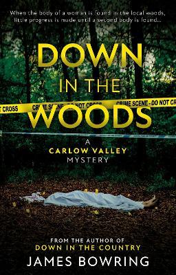 Down in the Woods: A Carlow Valley Mystery - James Bowring - cover