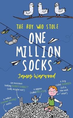 The Boy Who Stole One Million Socks: a brilliantly funny children's book to inspire young eco-warriors - James Warwood - cover